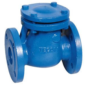 法蘭旋啟式止回閥圖片