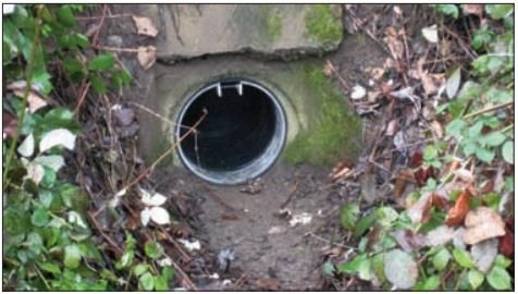 CHECKMATE-10 CHECKMATE-10